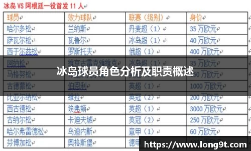 冰岛球员角色分析及职责概述